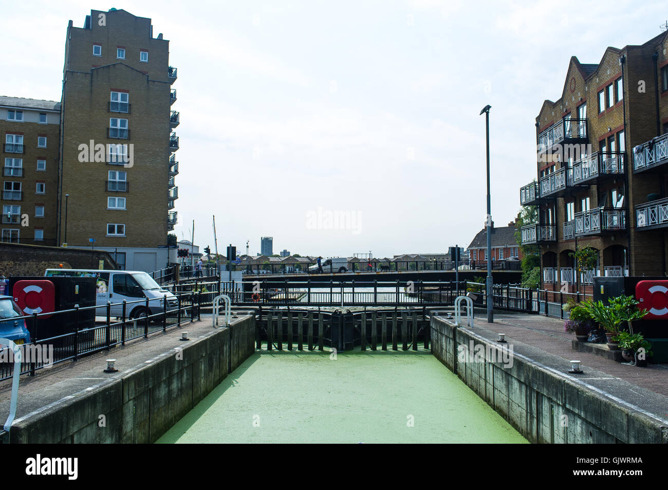 Londres, Royaume-Uni. 18 août 2016. L'eau du bassin de Limehouse est couvert par la lentille d'eau verte. C'est une très petite lumière green flottantes, roulement de graines plante qui peut être agressive invaders d'étangs et sont souvent trouvés en mixte avec des fougères ou aucun nom commun. Credit : Alberto Pezzali/Alamy Live News Banque D'Images