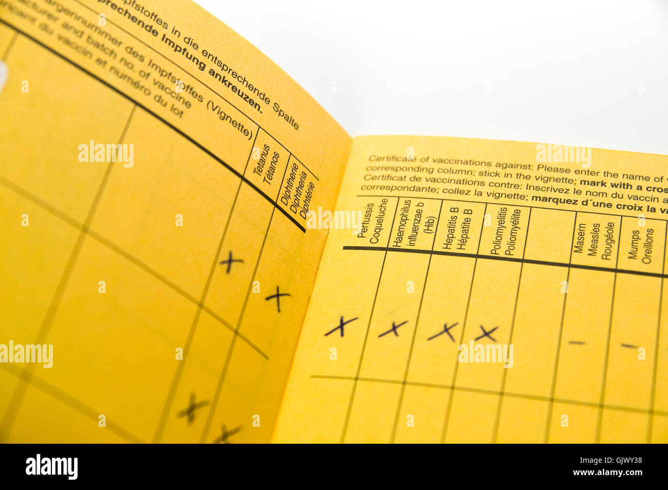 Certificat de vaccination Banque D'Images