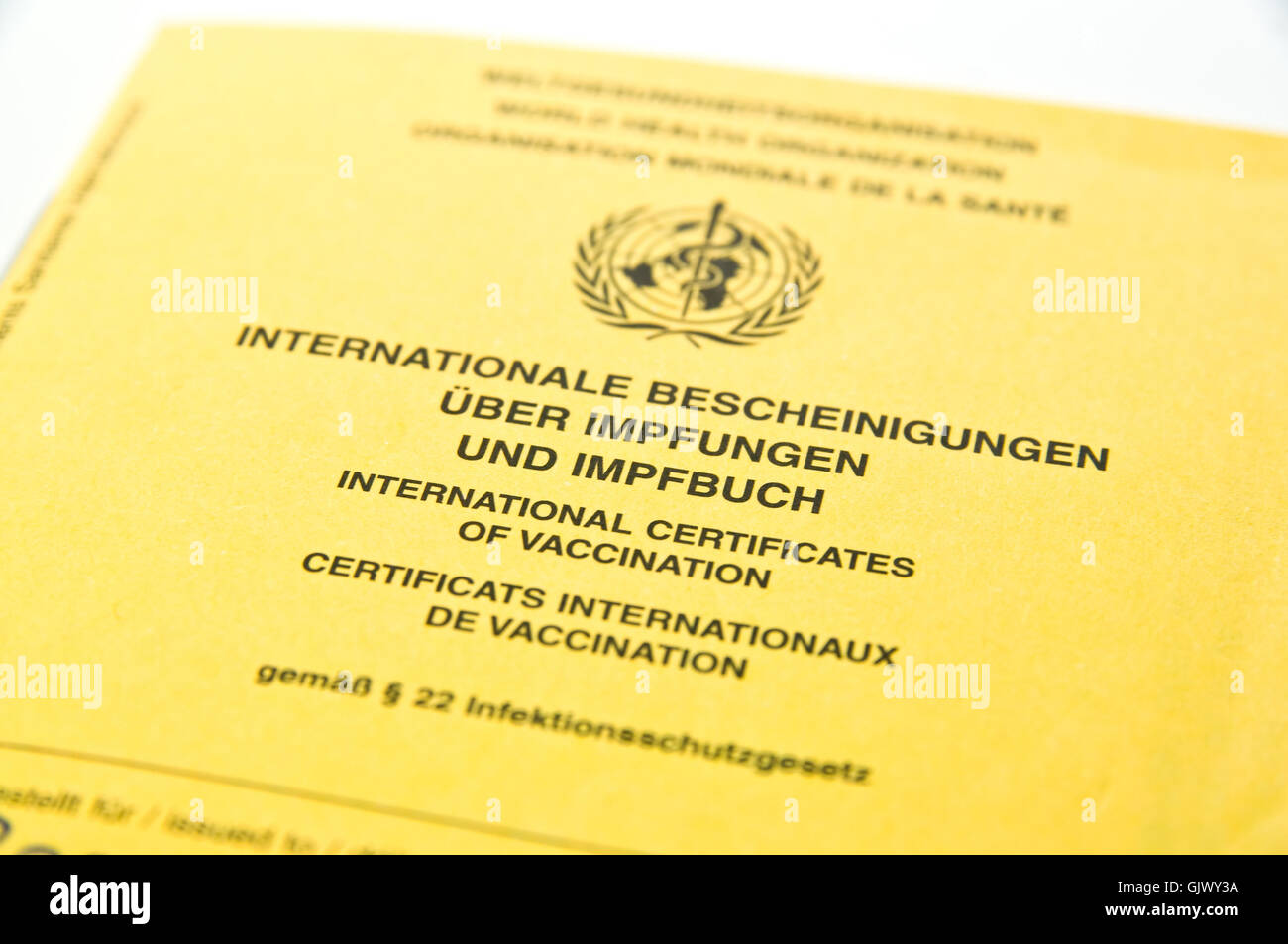 Certificat de vaccination Banque D'Images