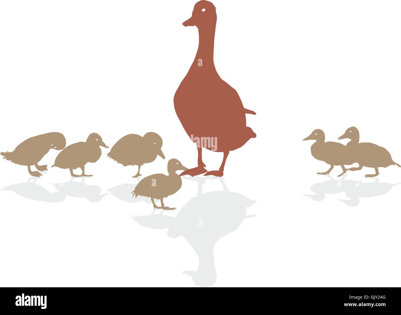 Caneton colvert avec les jeunes Illustration de Vecteur