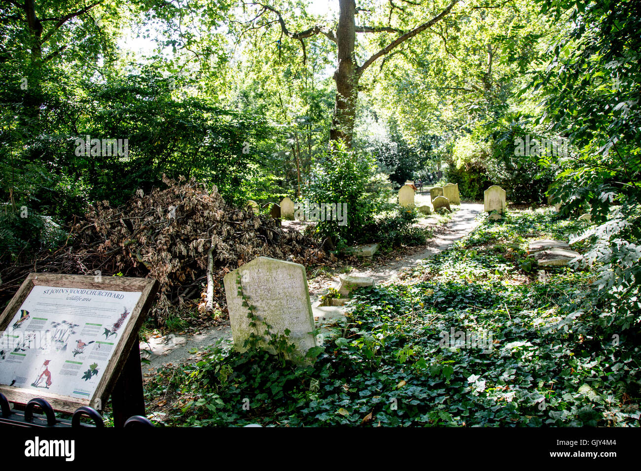 Le cimetière à St Johns Wood Cemetery London UK Banque D'Images