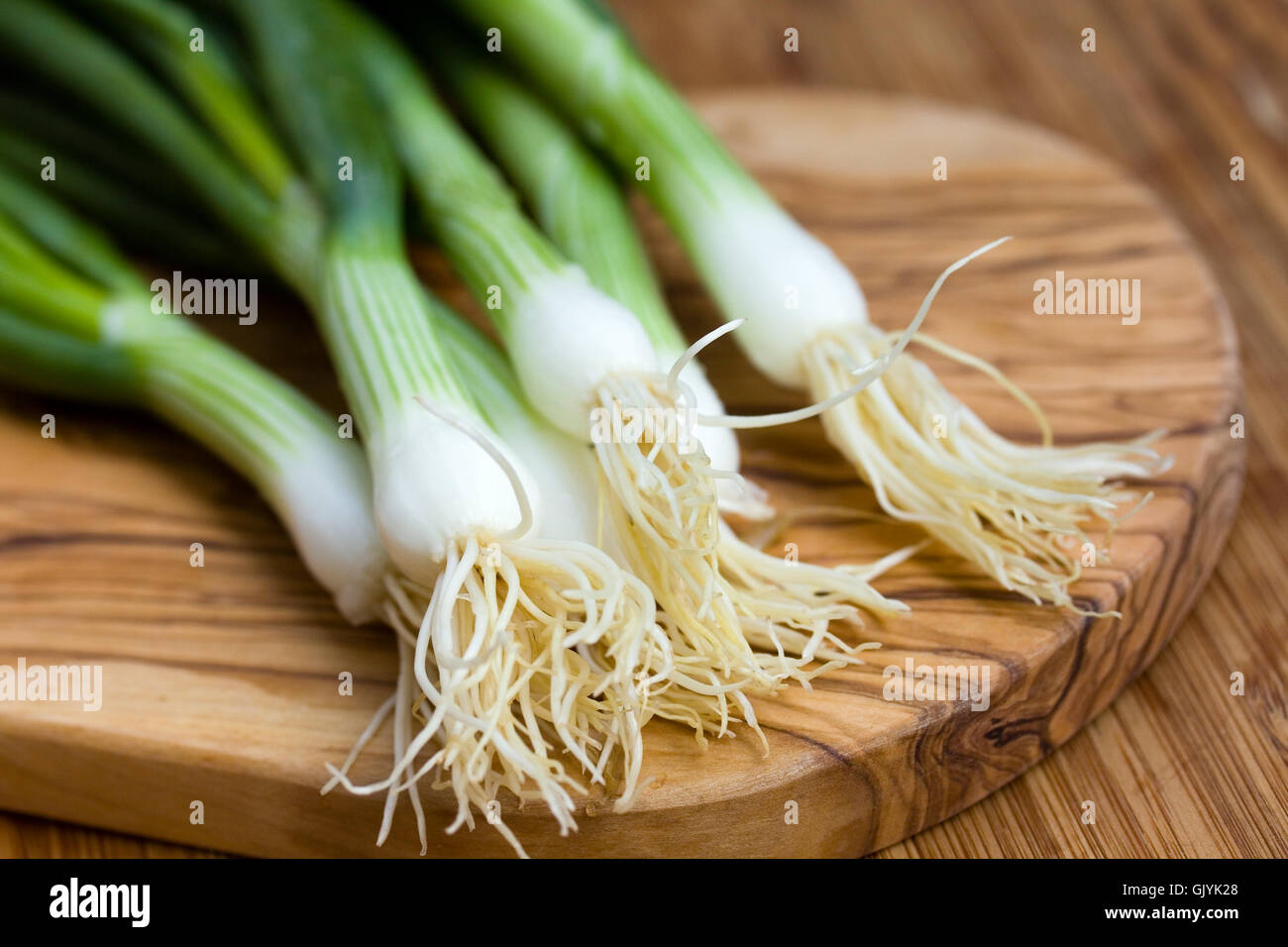 Spring onion,libre Banque D'Images