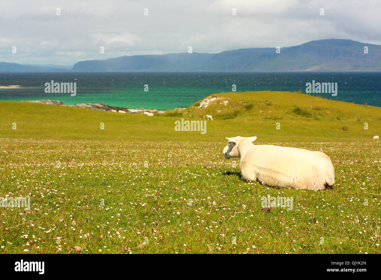 Billet d'Ecosse island Banque D'Images