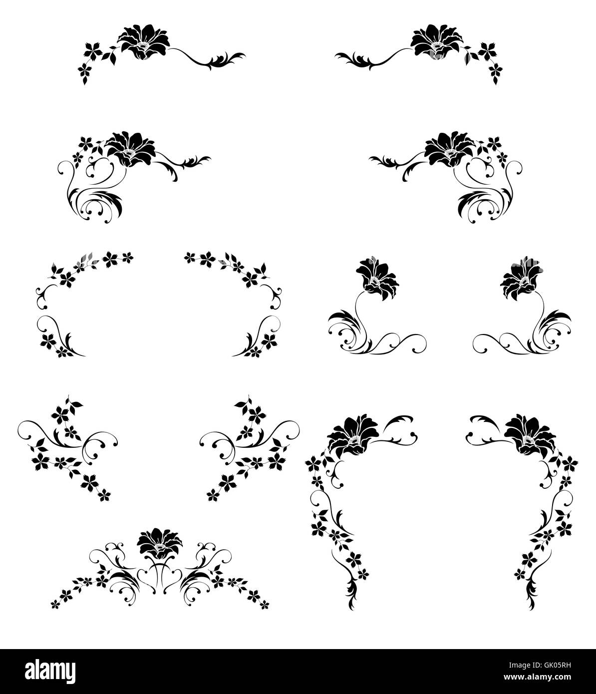 Les feuilles des plantes à fleurs Banque D'Images