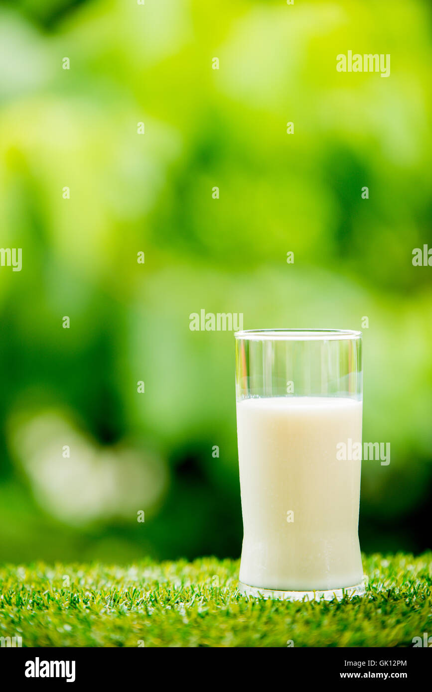 Verre de lait sur l'herbe avec la nature background Banque D'Images