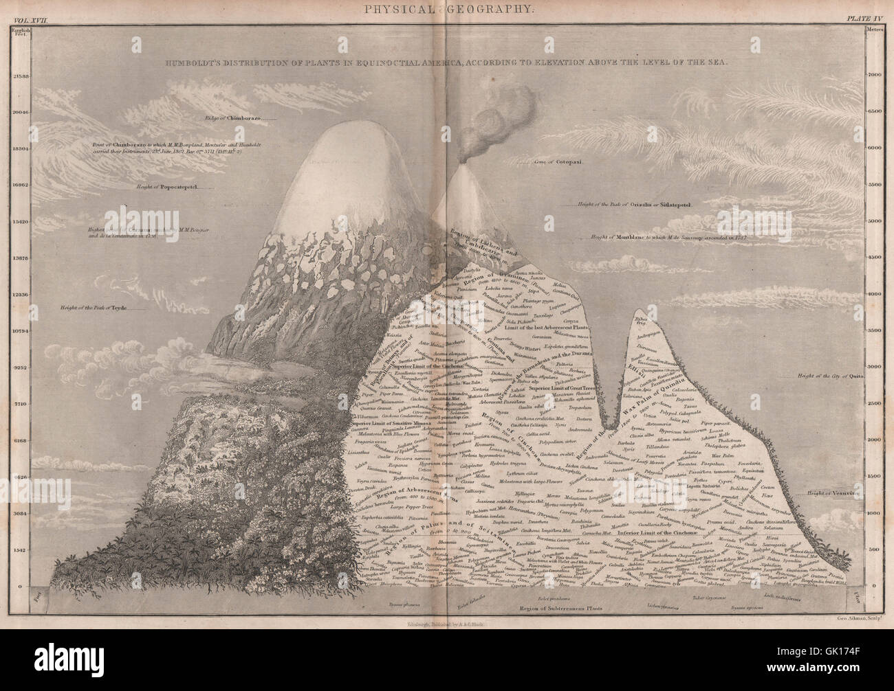 La distribution des espèces végétales du Humboldt dans l'Amérique équinoxiale. D'Altitude, 1860 map Banque D'Images La distribution des espèces végétales du Humboldt dans l'Amérique équinoxiale. D'Altitude, 1860 map Banque D'Images