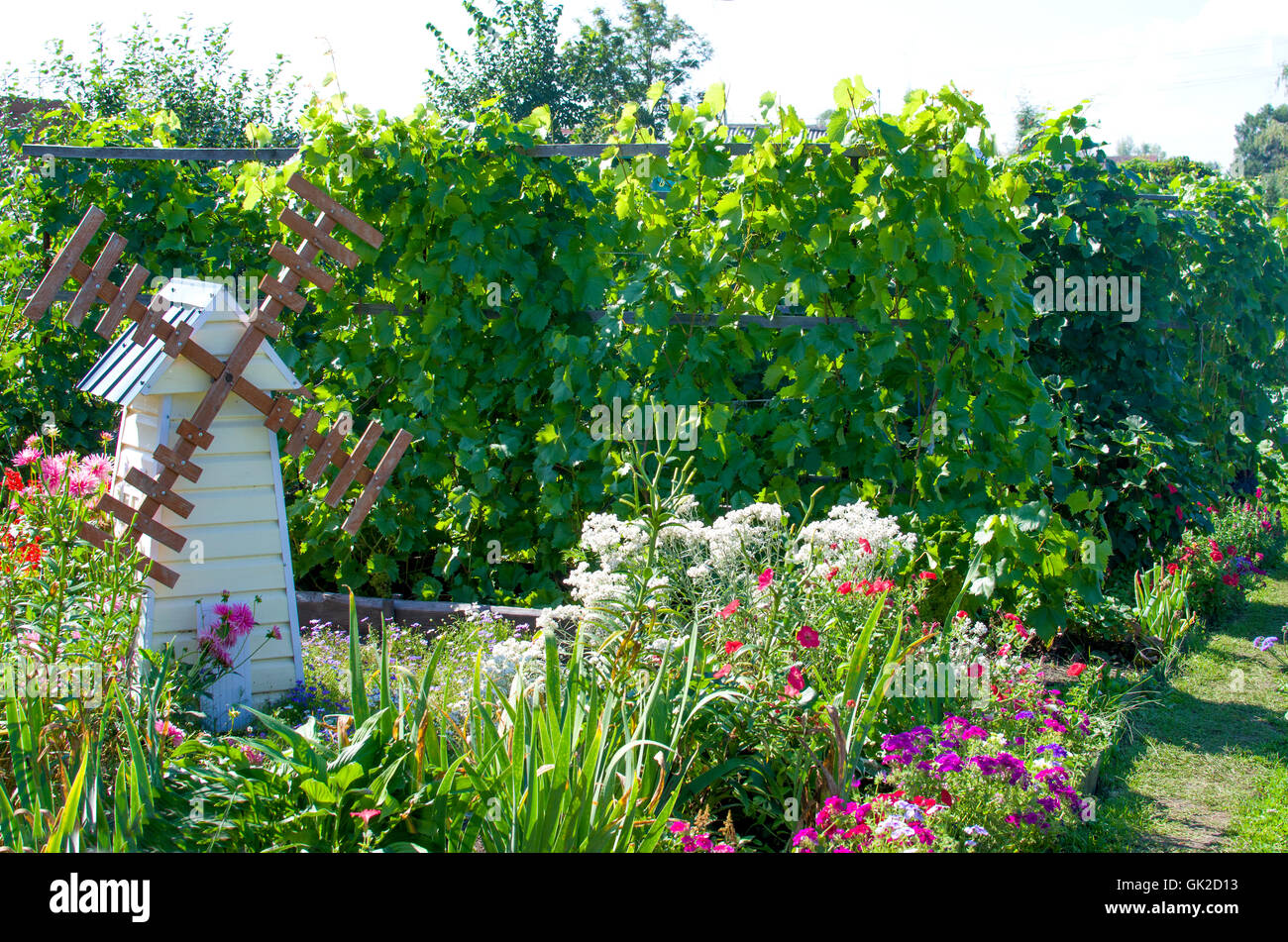 Un jardin potager avec fleurs et arbustes des raisins,d'un jardin, d'une récolte, un potager, un moulin, arbustes, fleurs, jardin Banque D'Images