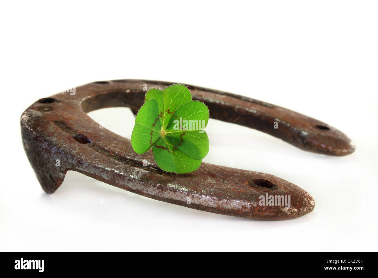 Avec fer à cheval trèfle à quatre feuilles Banque D'Images