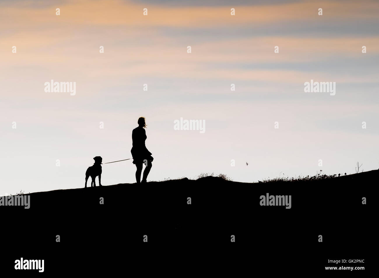 La silhouette d'une femme et son chien debout sur East Pointe Pentire à Newquay. Banque D'Images