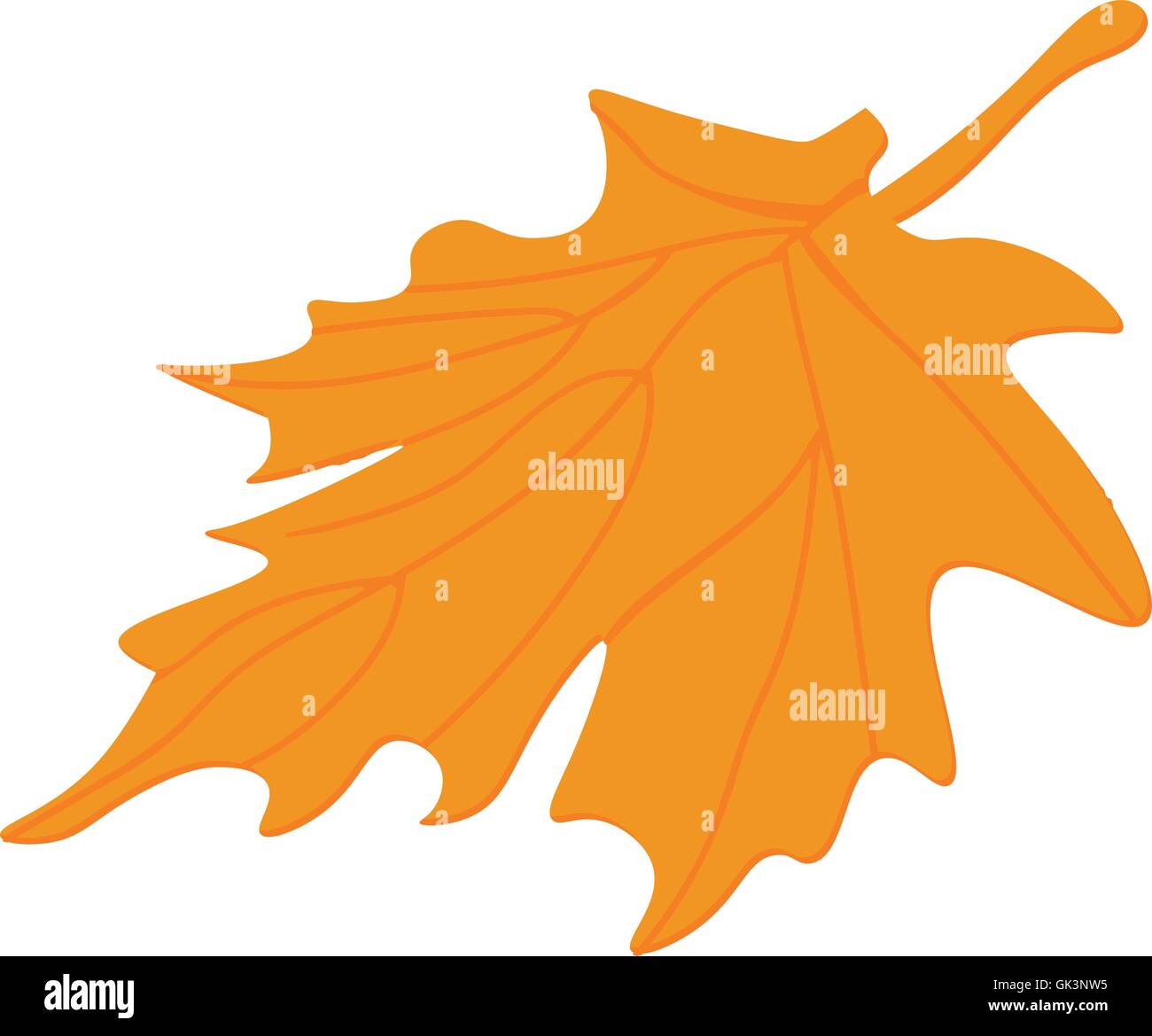 Vecteur de la feuille d'érable. Les feuilles d'automne. Les feuilles des arbres vecteur. Feuille d'automne isolés. Illustration de Vecteur