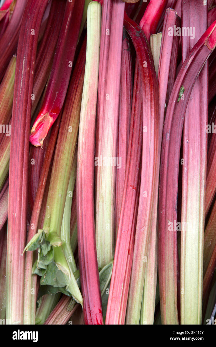 Arrière-plan de fruits et légumes à la rhubarbe Banque D'Images