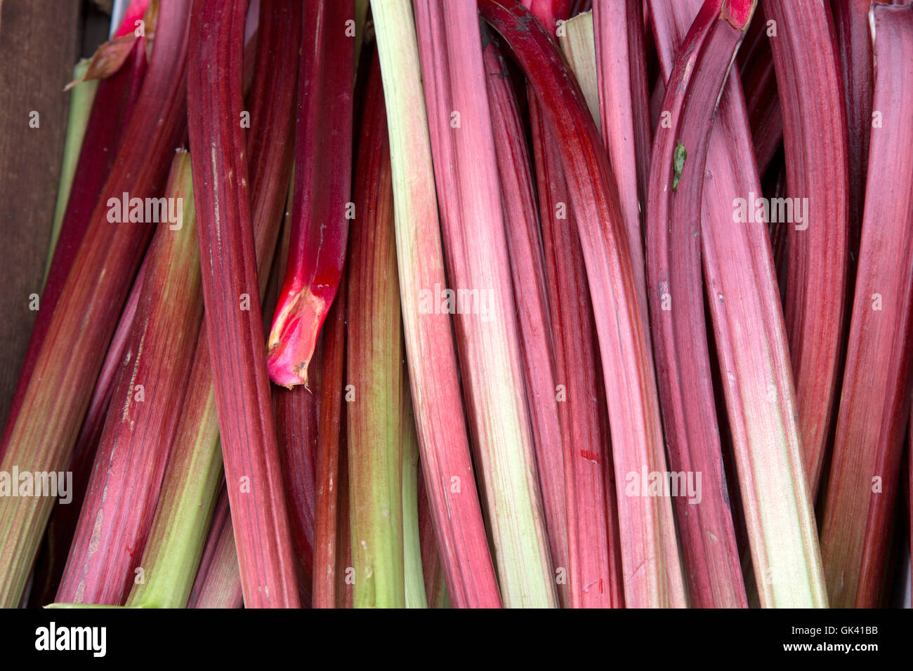 Arrière-plan de fruits et légumes à la rhubarbe Banque D'Images