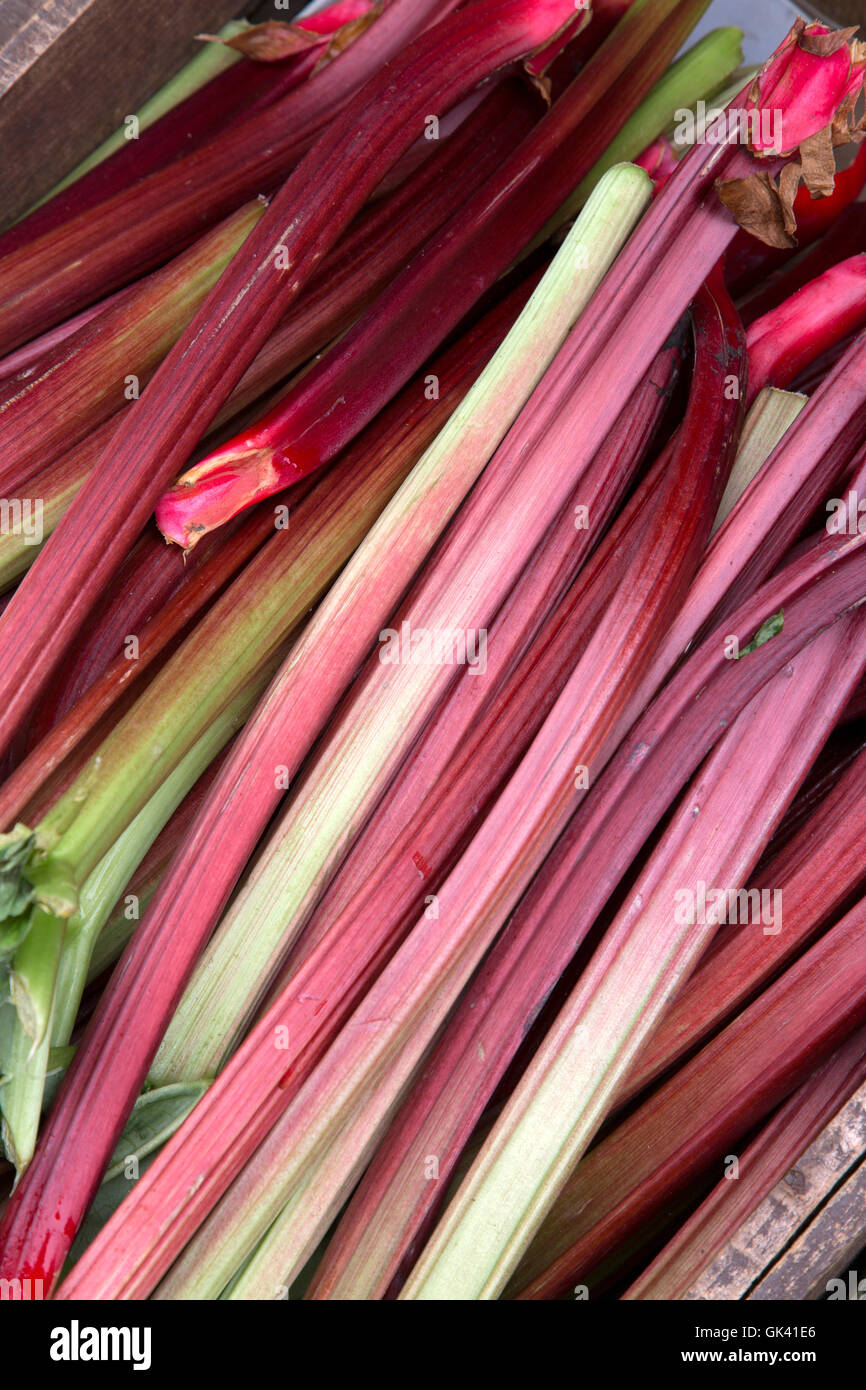 Arrière-plan de fruits et légumes à la rhubarbe Banque D'Images