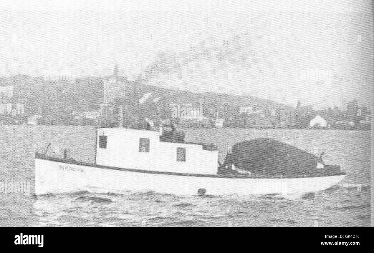 Le North Star est un bateau à senne moderne de 40 pieds de long avec une poutre de 10 pieds, conçu pour la pêche commerciale. Equipé d'un moteur Atlas de 15 chevaux, il est utilisé dans les eaux côtières pour des opérations de pêche efficaces. Il appartient à Olaf Roal. Banque D'Images