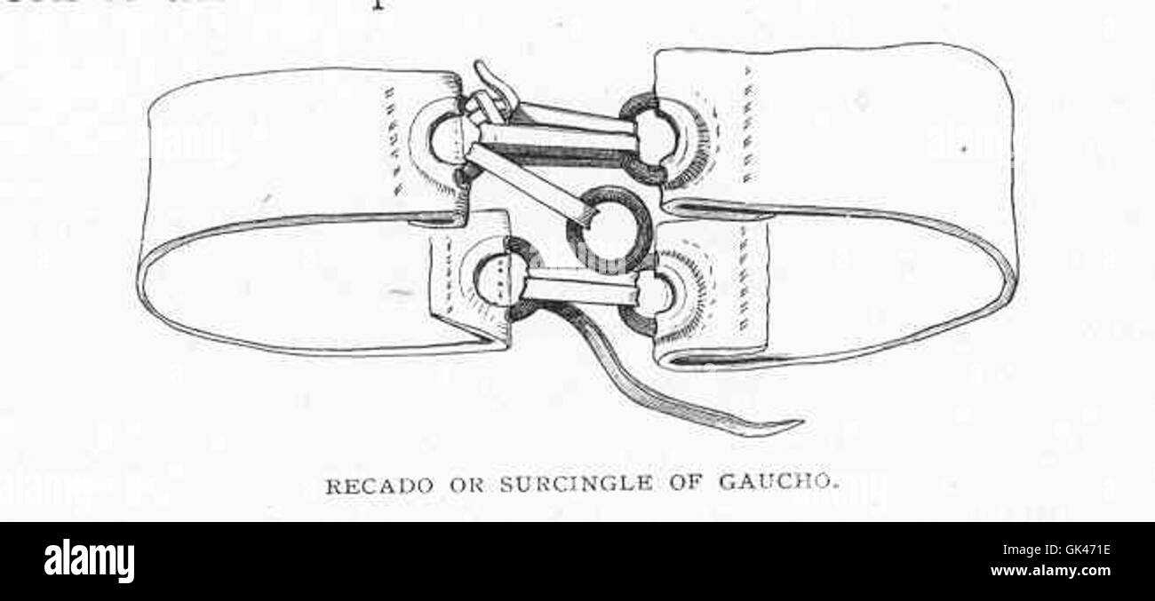 Le recado ou surcingle est un bracelet en cuir traditionnel utilisé par les gauchos en Amérique du Sud pour fixer les selles. Il reflète la culture équestre unique et l'histoire de la région. Banque D'Images