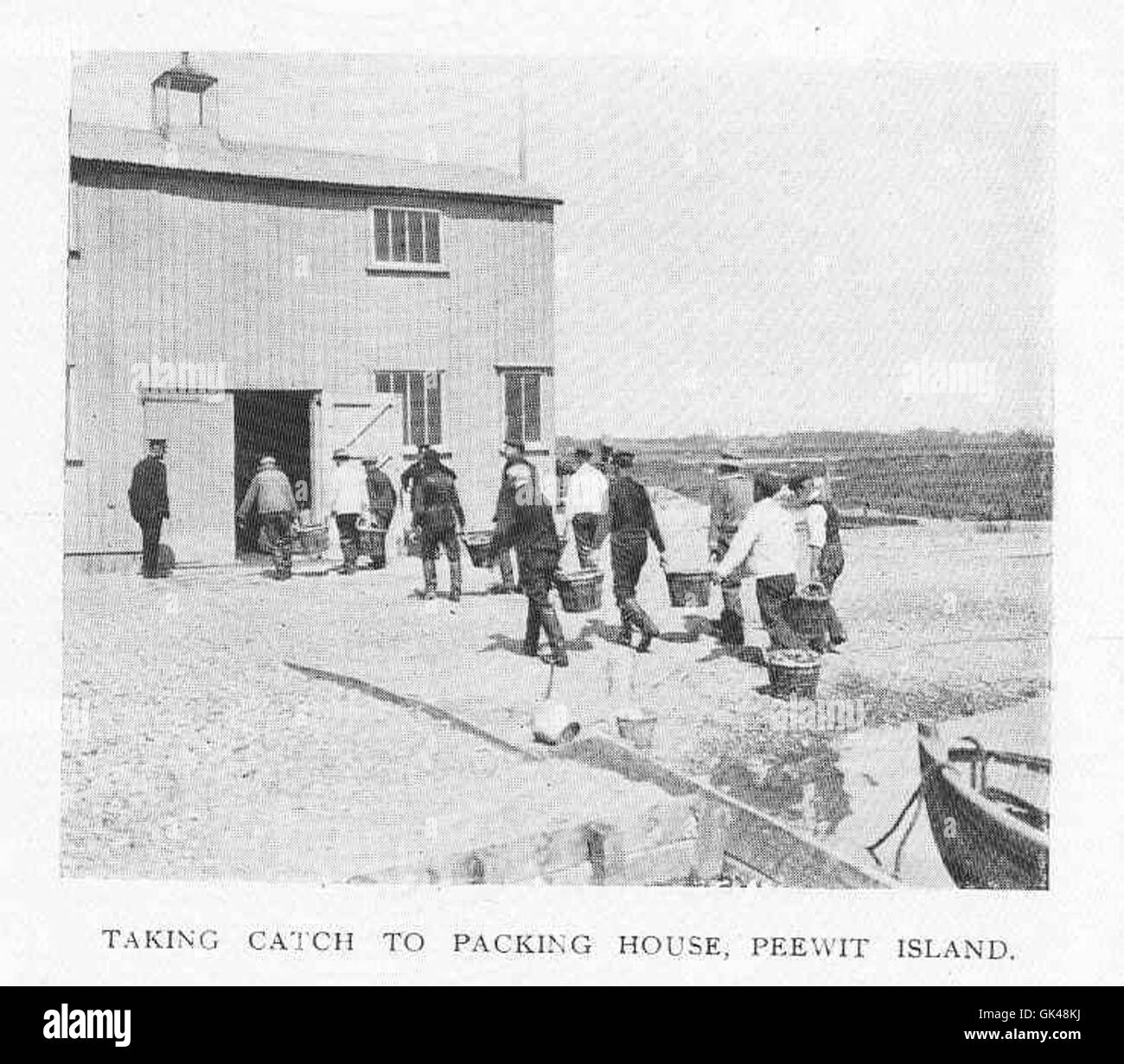 Les prises de l'île Peewit sont transportées vers la maison d'emballage pour y être traitées. L'île est connue pour sa riche vie marine, qui abrite une variété d'espèces de poissons qui sont récoltées à des fins commerciales et ensuite emballées pour être distribuées. Banque D'Images