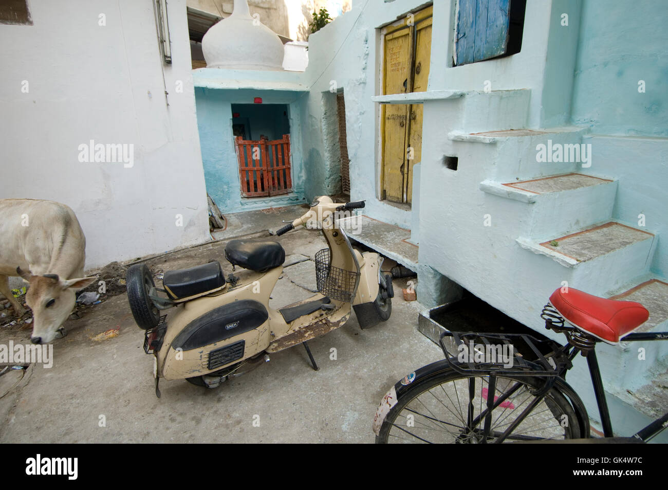 2009, Udaipur, Inde --- un cyclomoteur rouille garé dans une cour avec une vache paître à proximité. --- Image par © Jeremy Horner Banque D'Images