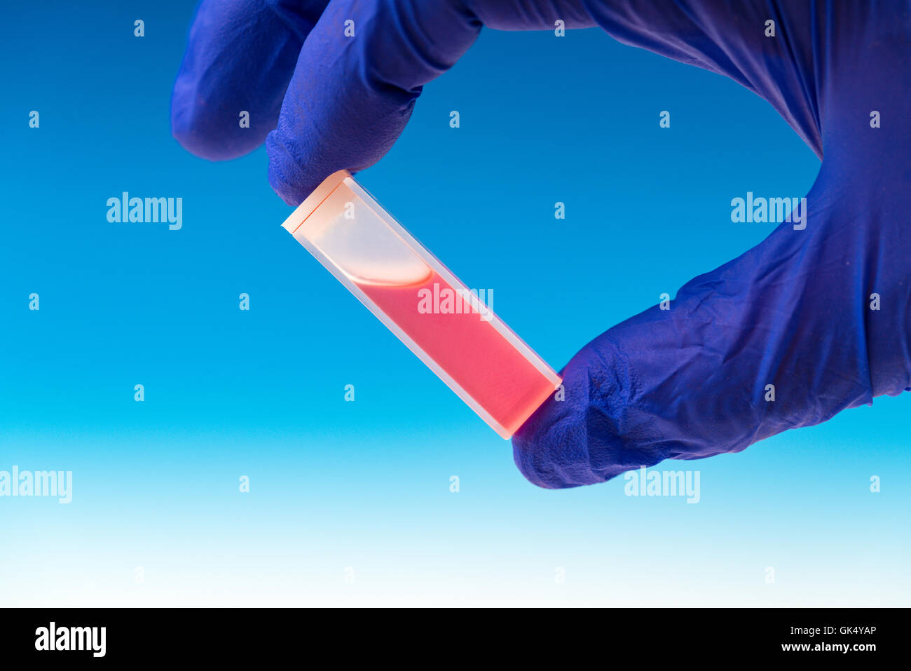 En Verre et Quartz dans la main petit tube carré conçu pour contenir des échantillons pour expériences spectroscopiques Banque D'Images