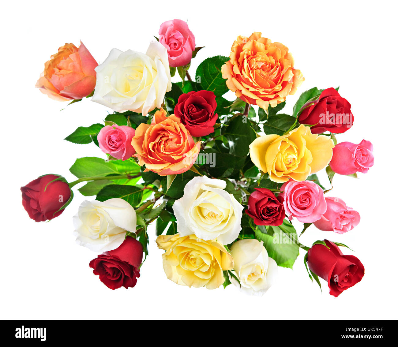 Arrangement fleur rose Banque D'Images