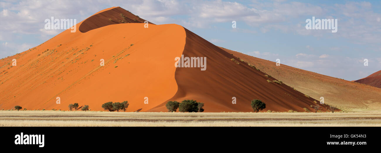 Désert désert namibie Banque D'Images