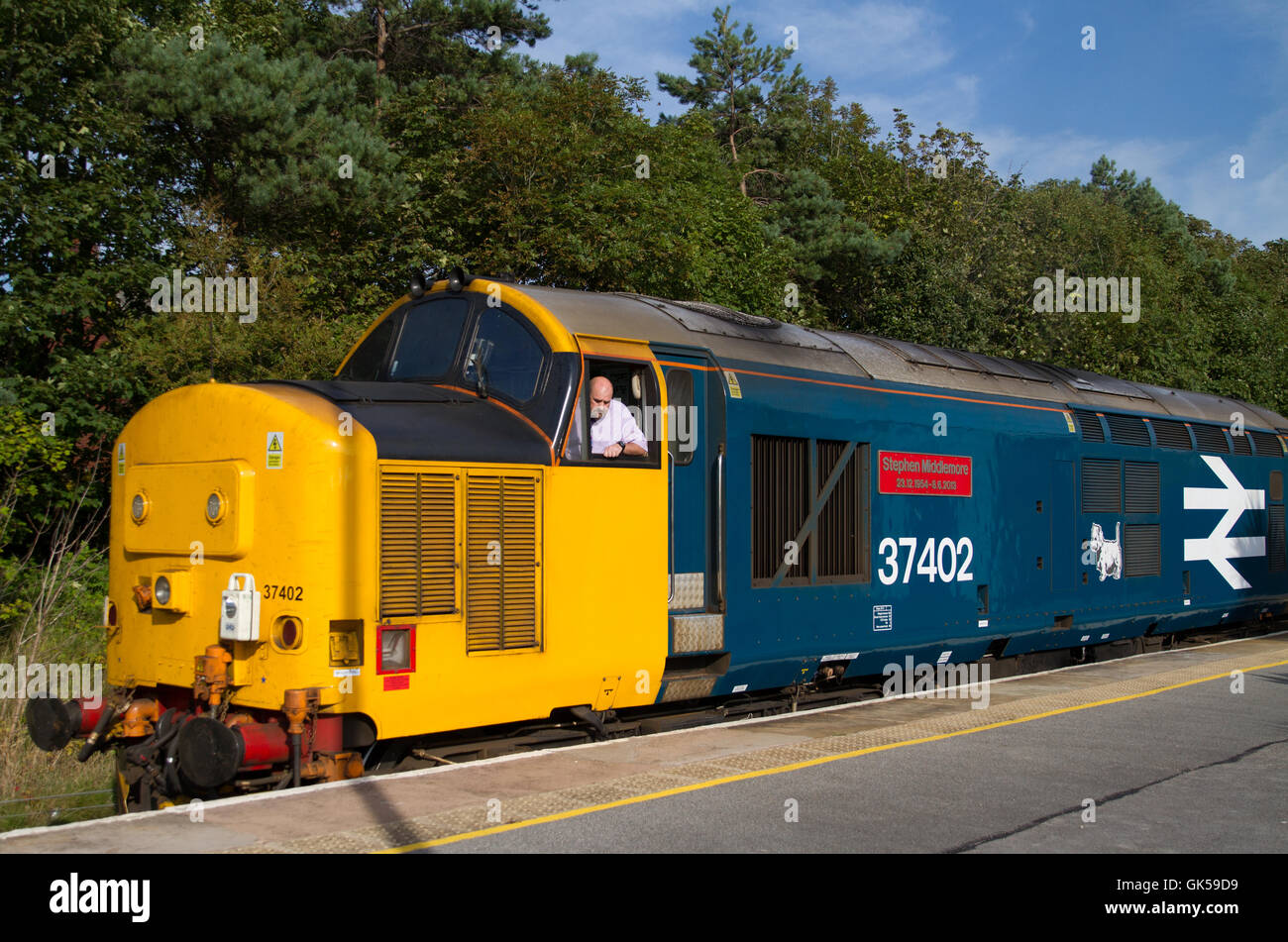 Northern Rail - Patrimoine classe livrée 37 train locomotive diesel utilisé par arriva sur la ligne principale du chemin de fer à Barrow in Furness BIF. Banque D'Images