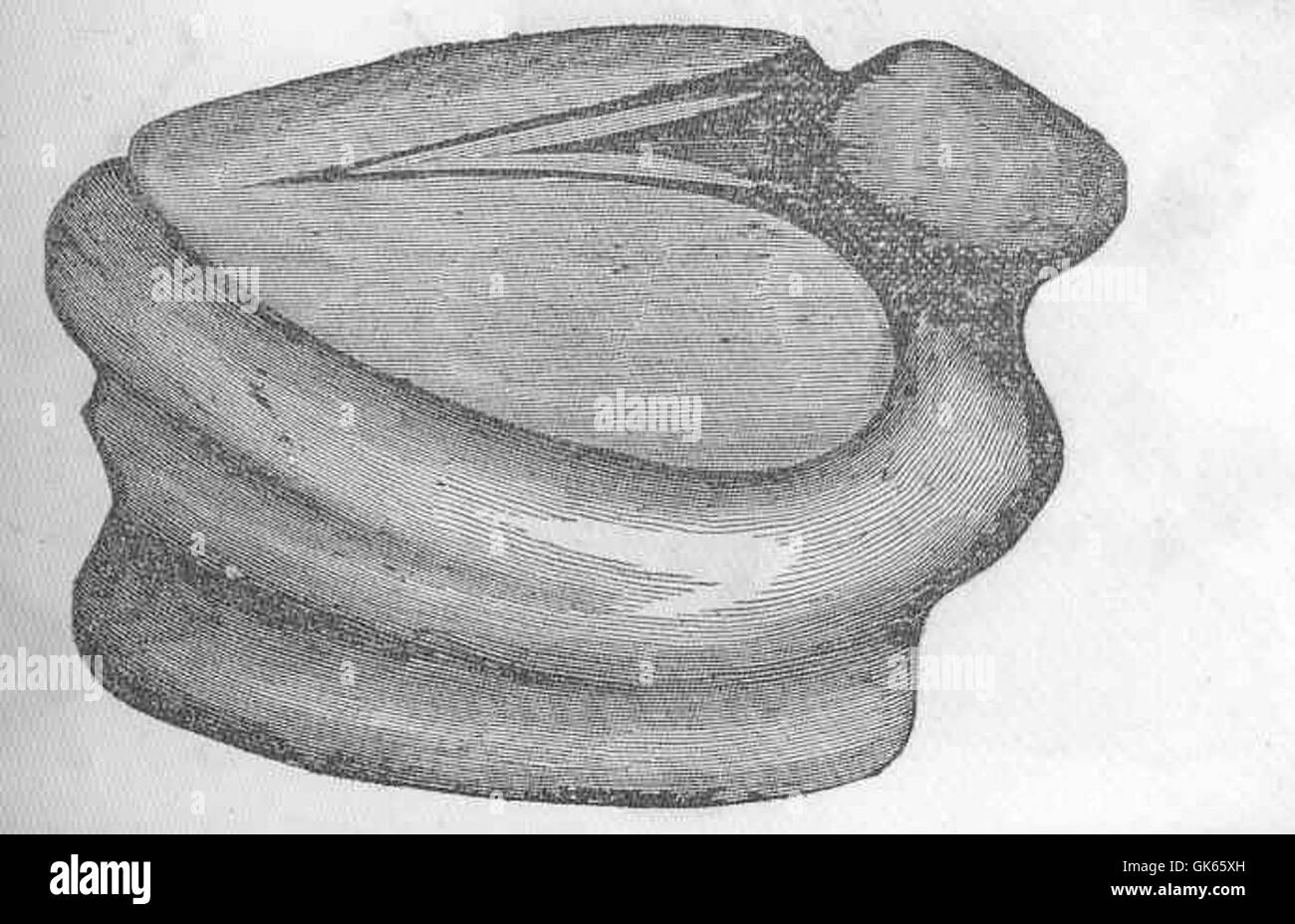 Cette image représente une formation de granit ressemblant à un oiseau. Il est supposé qu'il a été conçu pour être utilisé dans un club de guerre ou en pierre élancée, reflétant l'importance culturelle des outils en pierre dans les sociétés préhistoriques. Banque D'Images Cette image représente une formation de granit ressemblant à un oiseau. Il est supposé qu'il a été conçu pour être utilisé dans un club de guerre ou en pierre élancée, reflétant l'importance culturelle des outils en pierre dans les sociétés préhistoriques. Banque D'Images