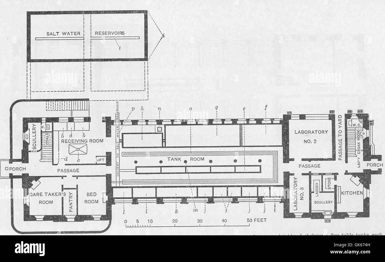 50548 plan masse de Plymouth, après Heape (1887) Banque D'Images