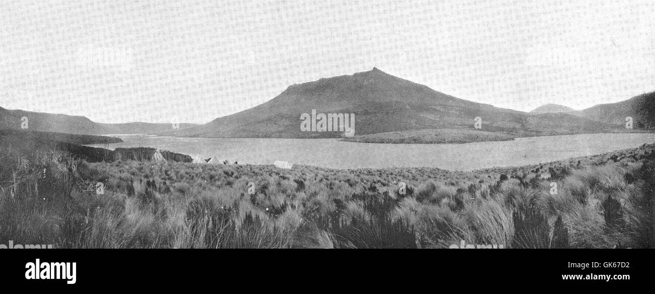Perseverance Harbour, situé sur l'île Campbell dans la région subantarctique, est connu pour sa géographie unique et son importance dans les efforts d'exploration historique et de conservation dans la région. Banque D'Images