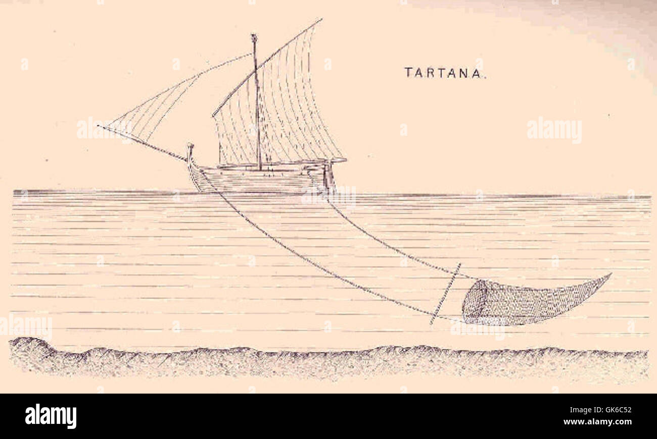 Tartana fait référence à un bateau de pêche méditerranéen traditionnel, caractérisé par sa structure en bois et ses grandes voiles. Il était couramment utilisé dans les régions côtières de l'Espagne et de l'Italie pour la pêche et le transport. Banque D'Images
