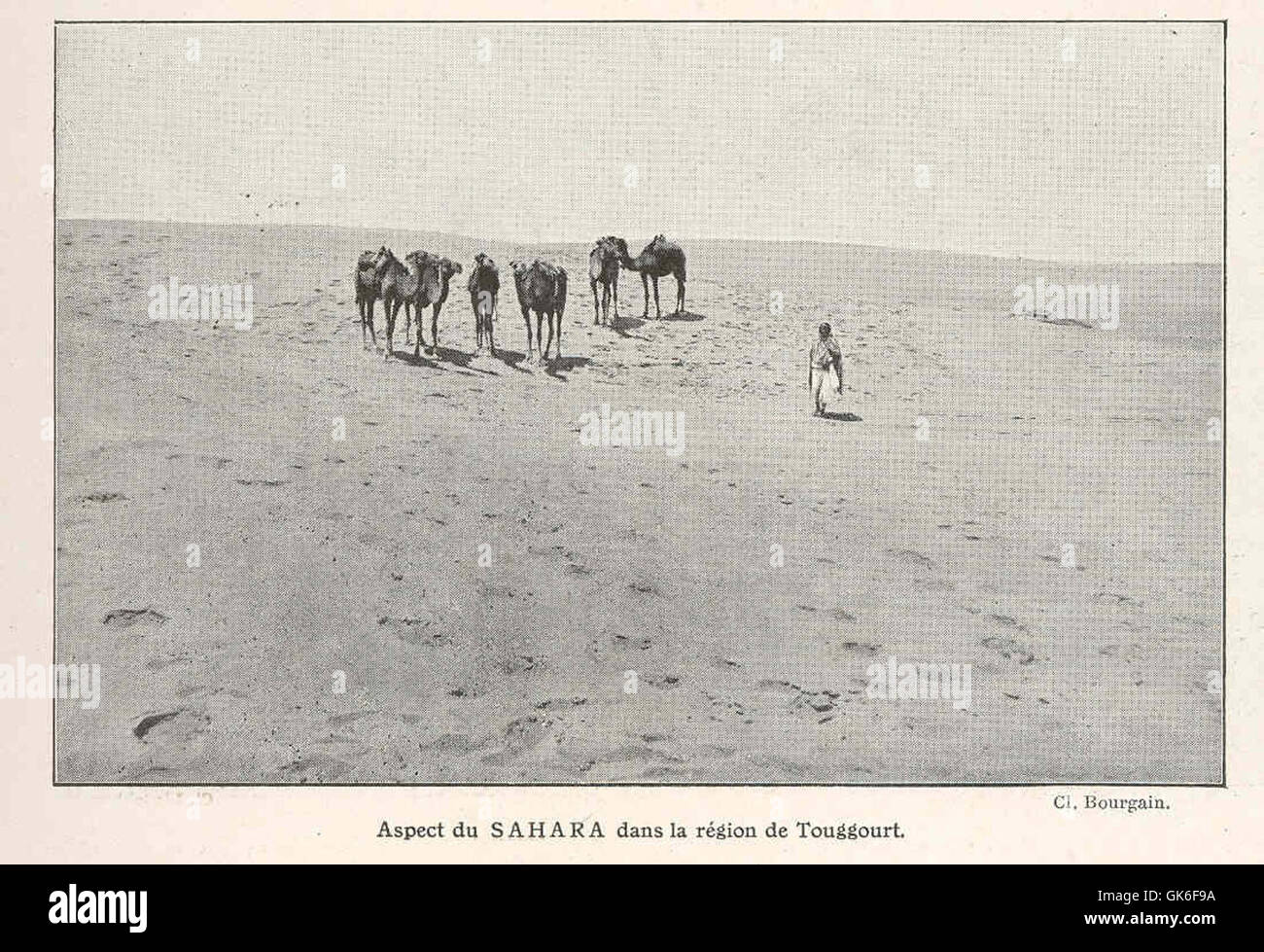 Le désert du Sahara, représenté ici dans la région de Touggourt, en Algérie, met en valeur le vaste paysage aride avec des dunes de sable caractéristiques et une végétation clairsemée. Banque D'Images