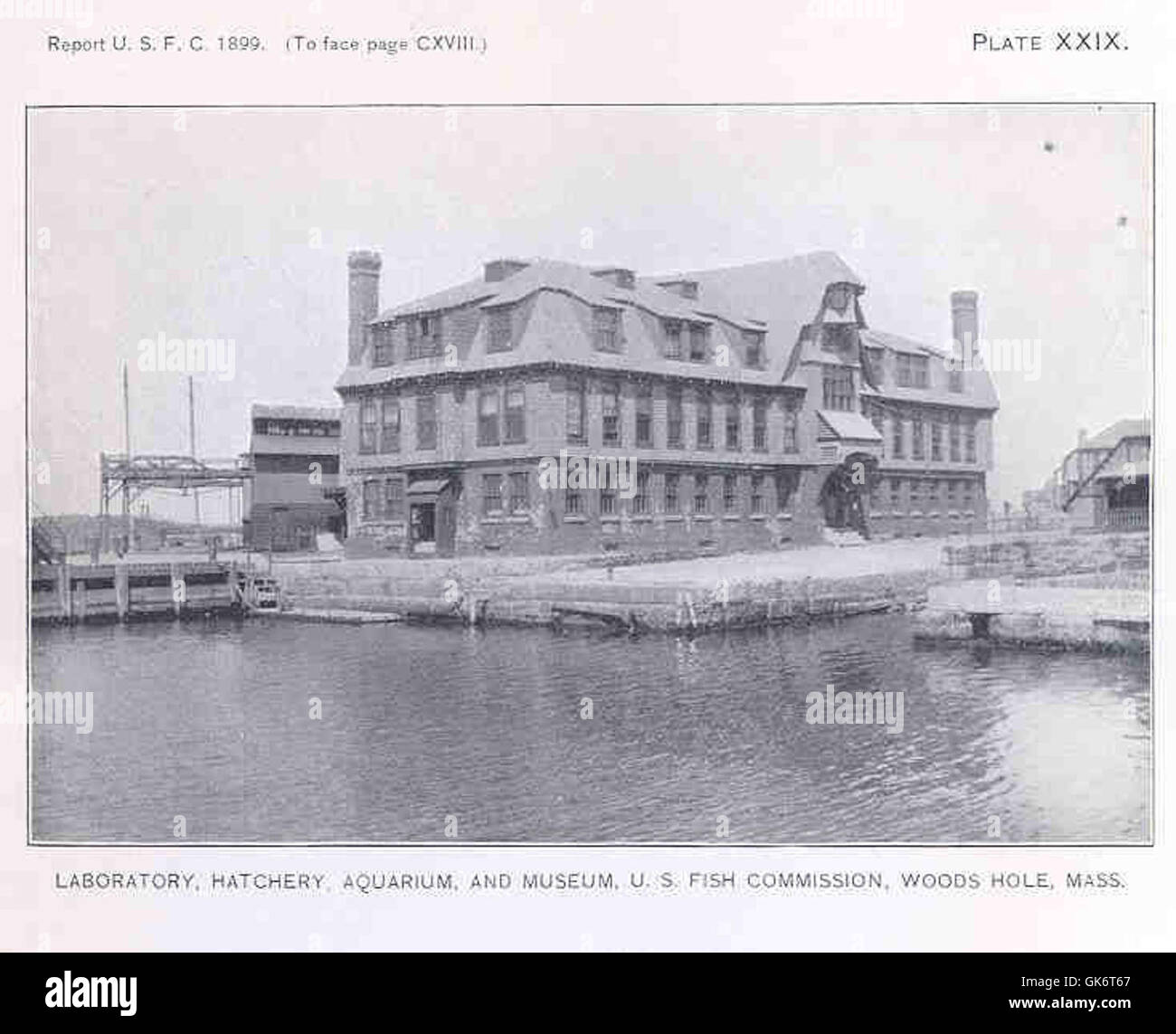 Cette illustration historique montre les installations du *laboratoire, de l’écloserie, de l’aquarium et du musée*, mettant en valeur le rôle important que ces institutions ont joué dans la recherche scientifique et l’éducation publique. Le dessin reflète la conception et la structure du début du XXe siècle de ces bâtiments de recherche et d'enseignement, combinant des éléments de recherche scientifique et d'exposition publique de la vie marine. Banque D'Images