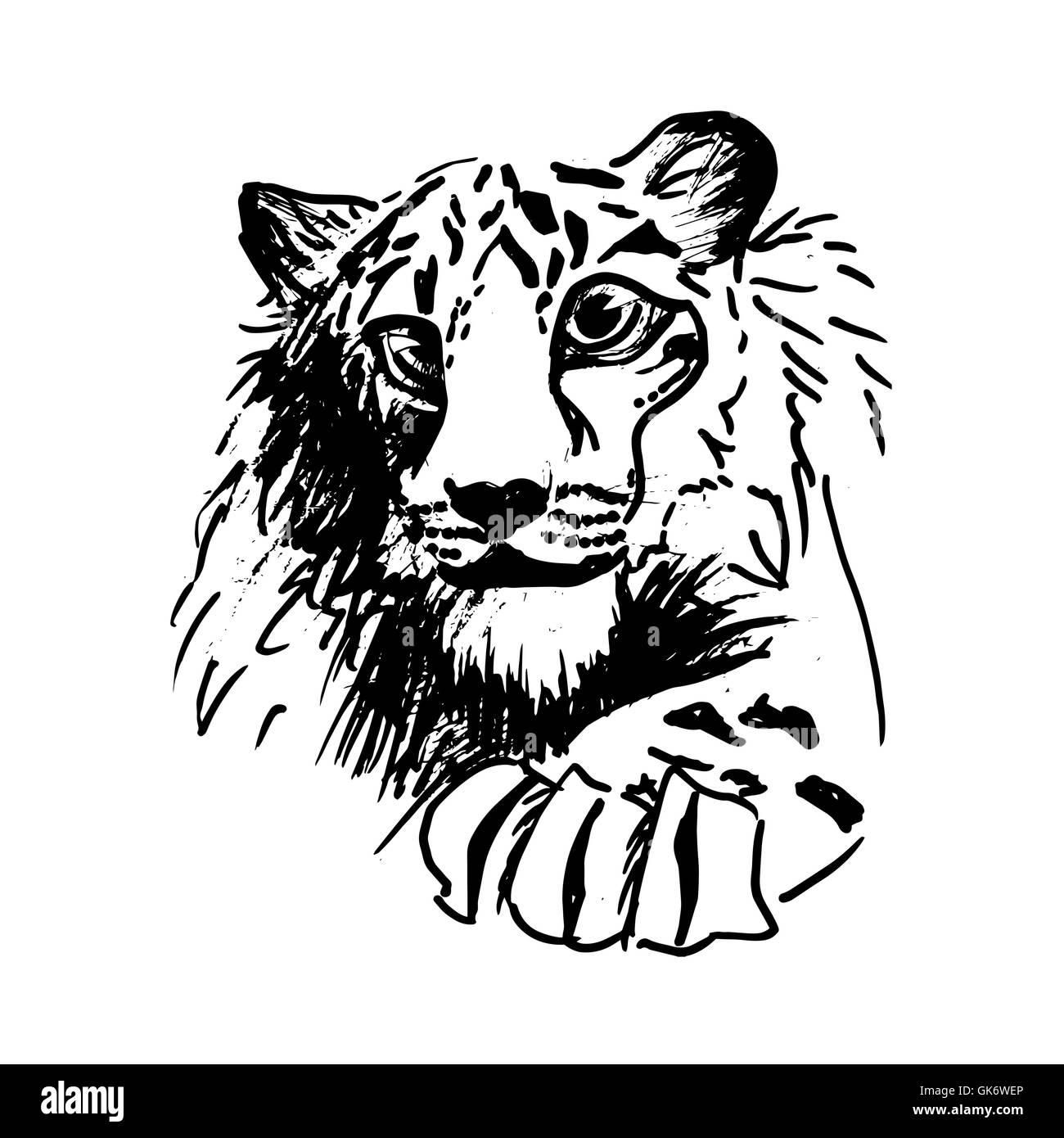 L'éclosion de vecteur vecteur en tigre, chat sauvage Illustration de Vecteur