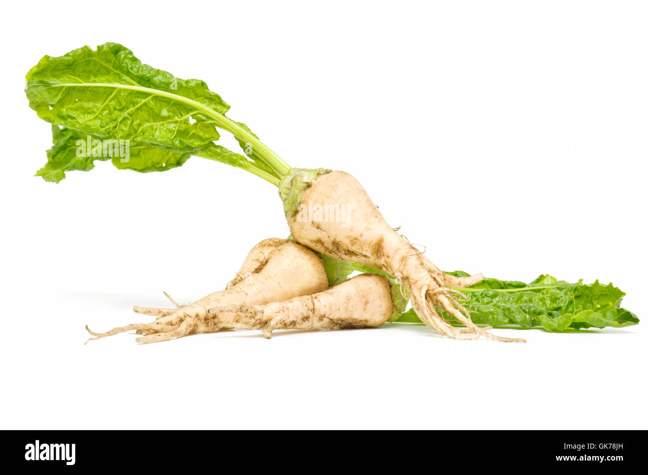 Agriculture L'agriculture douce Banque D'Images