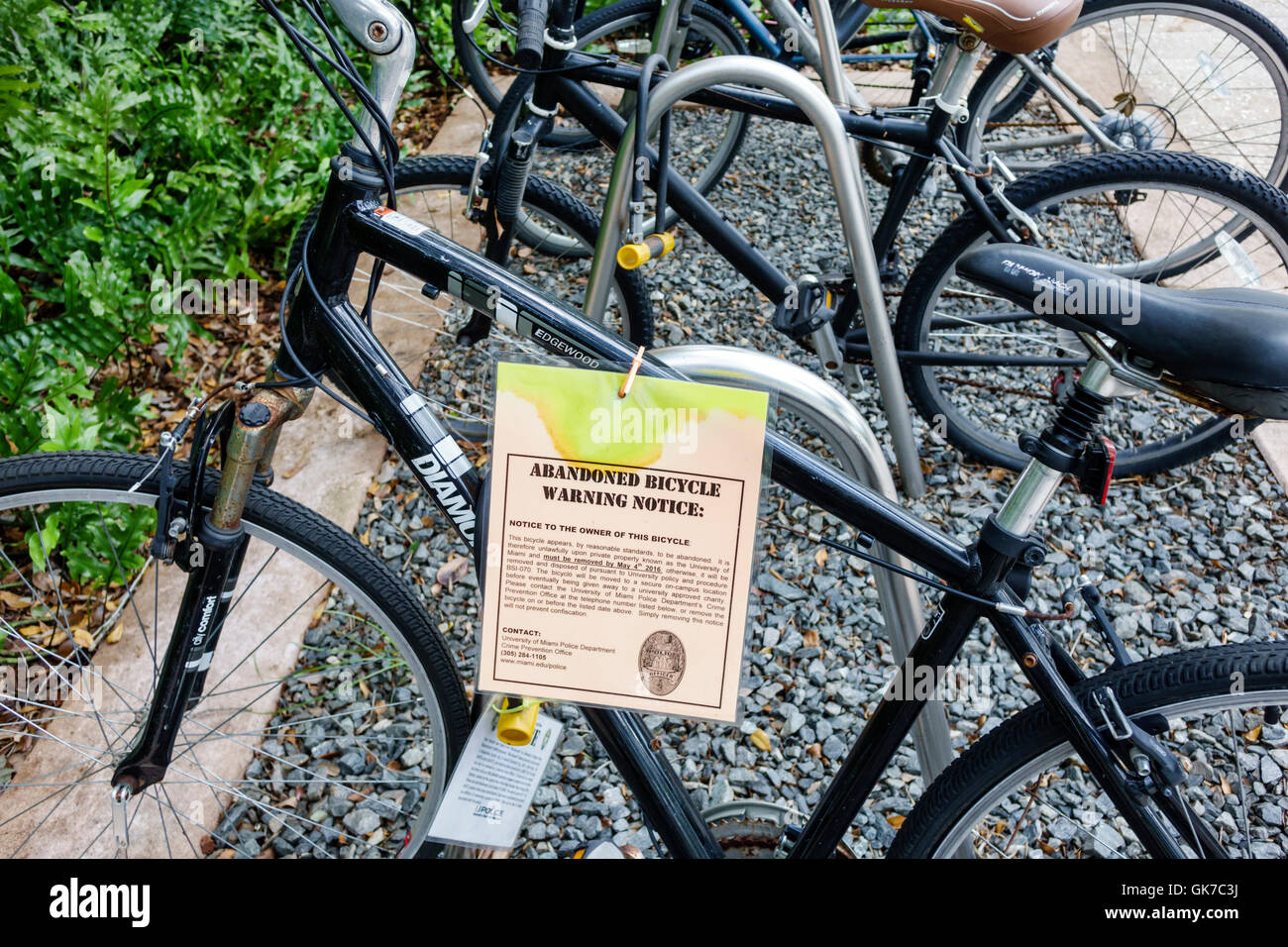 Miami Florida,Coral Gables,Université de Miami,UM,enseignement supérieur,campus,porte-vélos,avis de retrait,vélo abandonné,département de police de l'université,W Banque D'Images