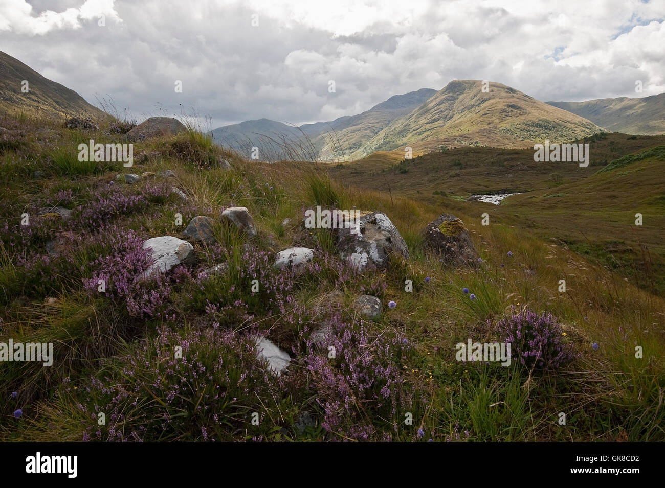 Glen affric Banque D'Images