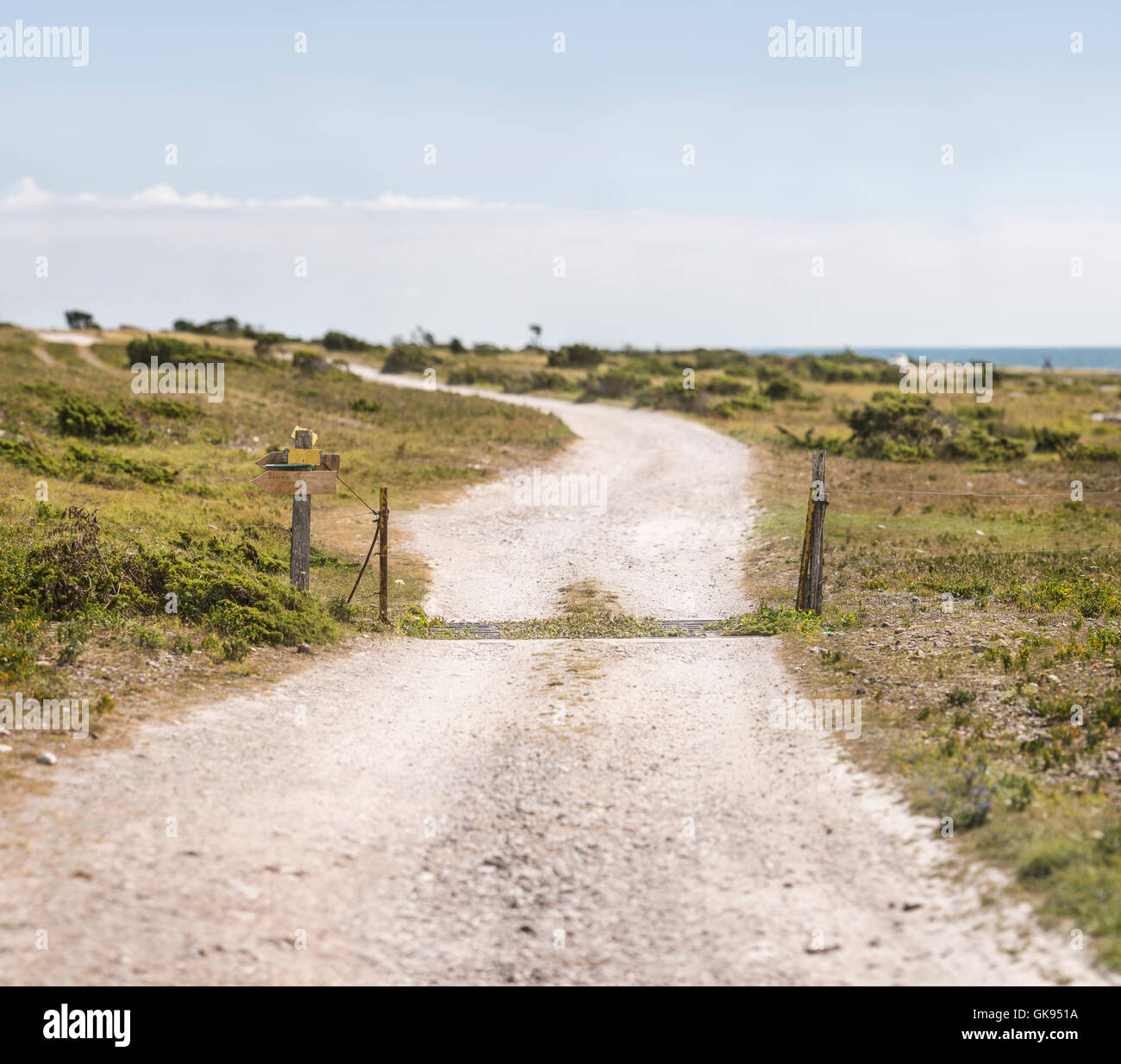 Grille de bétail sur un chemin de terre avec une faible profondeur de champ à Sysne, Gotland, Suède. La Scandinavie. Banque D'Images