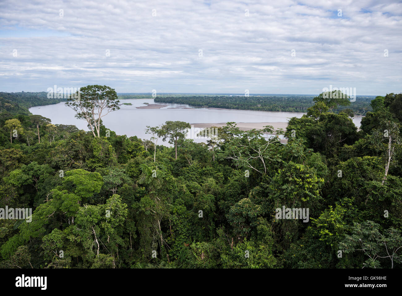 La canopée de la forêt tropicale et dans le Rio Napo Amazones. Le Parc national Yasuni, en Equateur, en Amérique du Sud. Banque D'Images