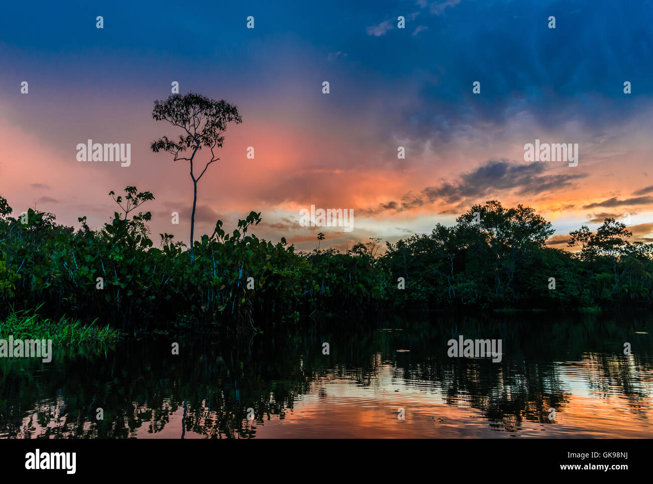 Les nuages colorés au coucher du soleil dans les Amazones. Le Parc national Yasuni, en Equateur, en Amérique du Sud. Banque D'Images