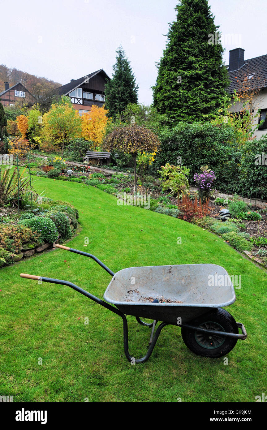 Les buissons de jardin jardin public Banque D'Images