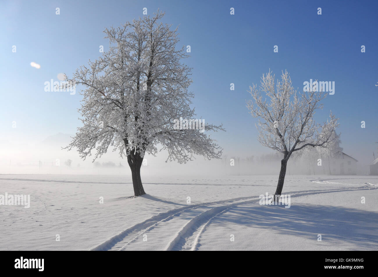 Winterlandschaft Banque D'Images