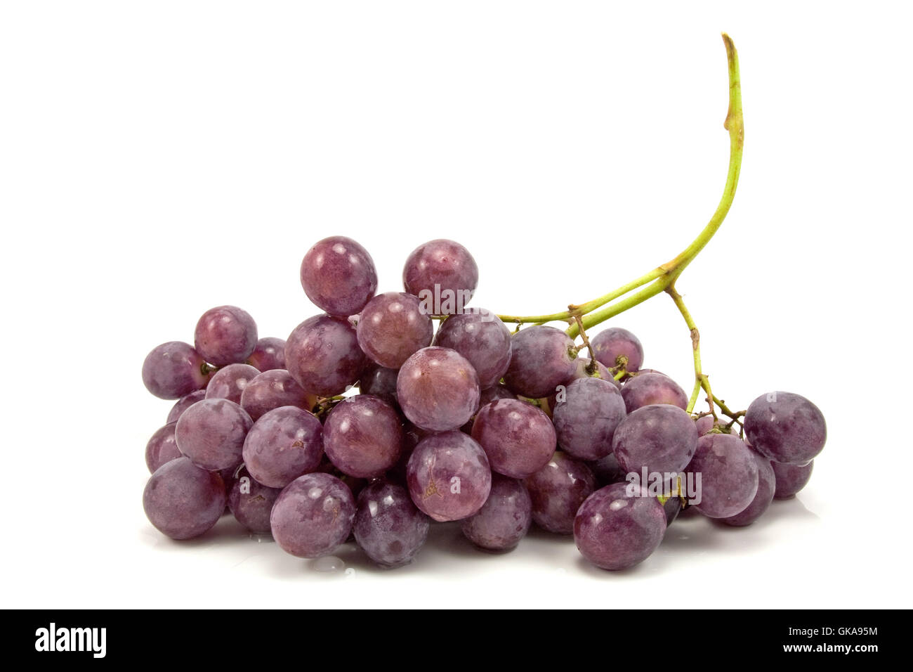 Agriculture agriculture bleu Banque D'Images