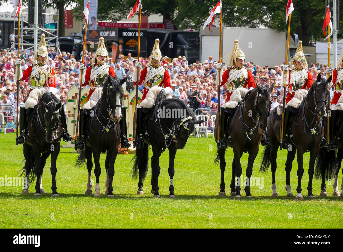 Household Cavalry régiment monté dans la carrière de Shrewsbury Flower Show 2016, Shropshire, England, UK Banque D'Images