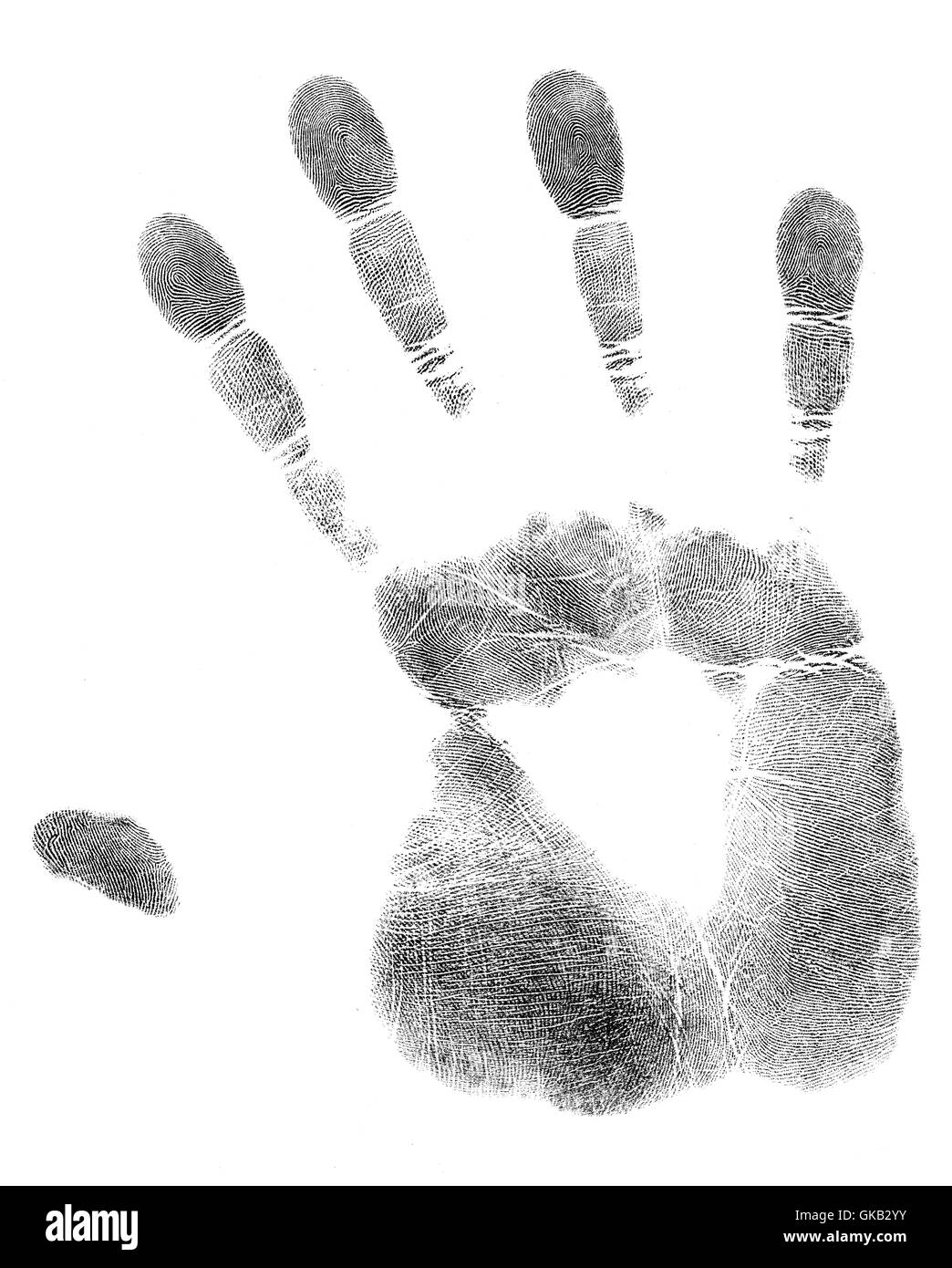 La paume de la main pour imprimer Banque D'Images