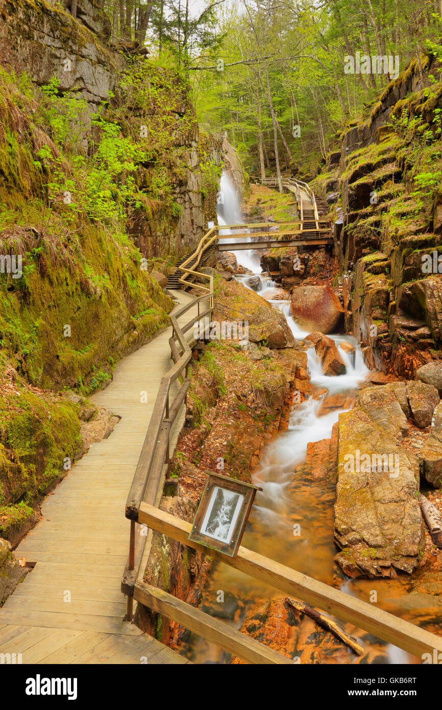 La gorge à la Flume, Franconia Notch State Park, Franconia Notch, New Hampshire, USA Banque D'Images