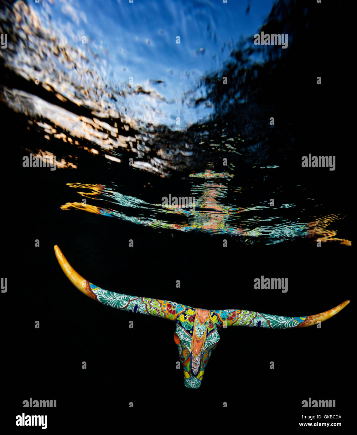 Peint Graffiti crâne taureaux dans une piscine à Virginia Beach, VA Banque D'Images