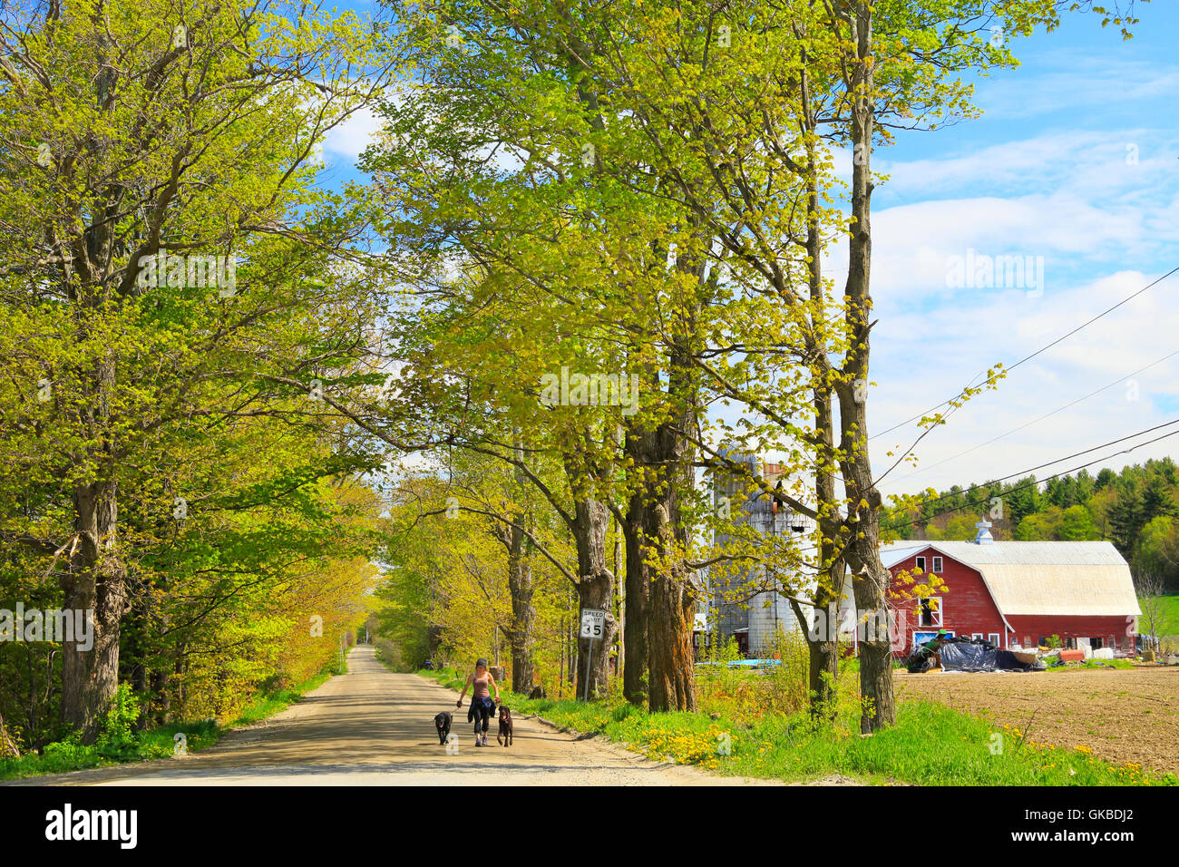 North Road, Waitesfield, Vermont, Etats-Unis Banque D'Images
