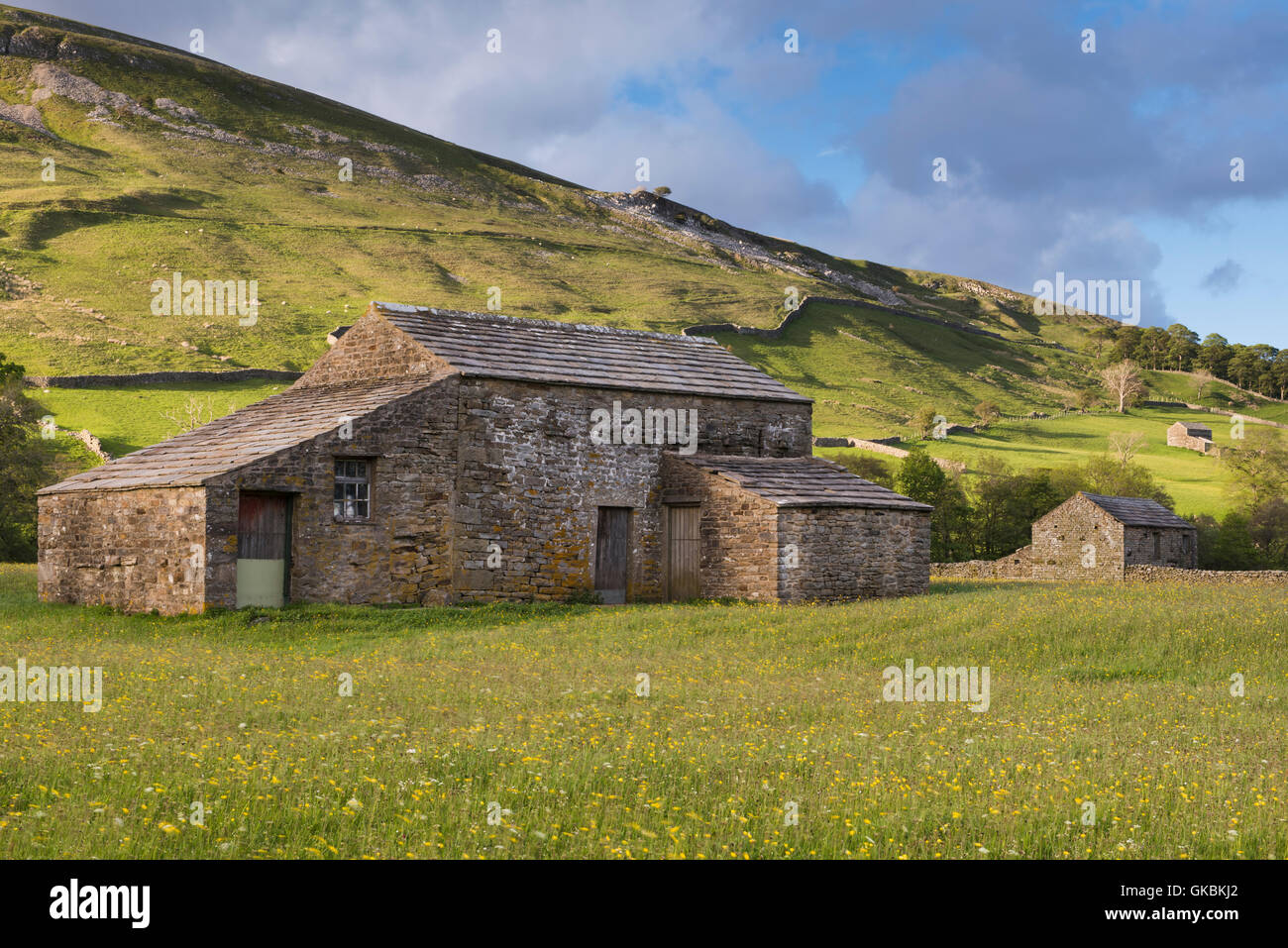 Prairies pittoresques de foin de fleurs sauvages Swaledale en montagne (vieilles granges en pierre, fleurs sauvages colorées ensoleillées, flanc de colline, ciel bleu) - Muker, Yorkshire Dales, GB. Banque D'Images