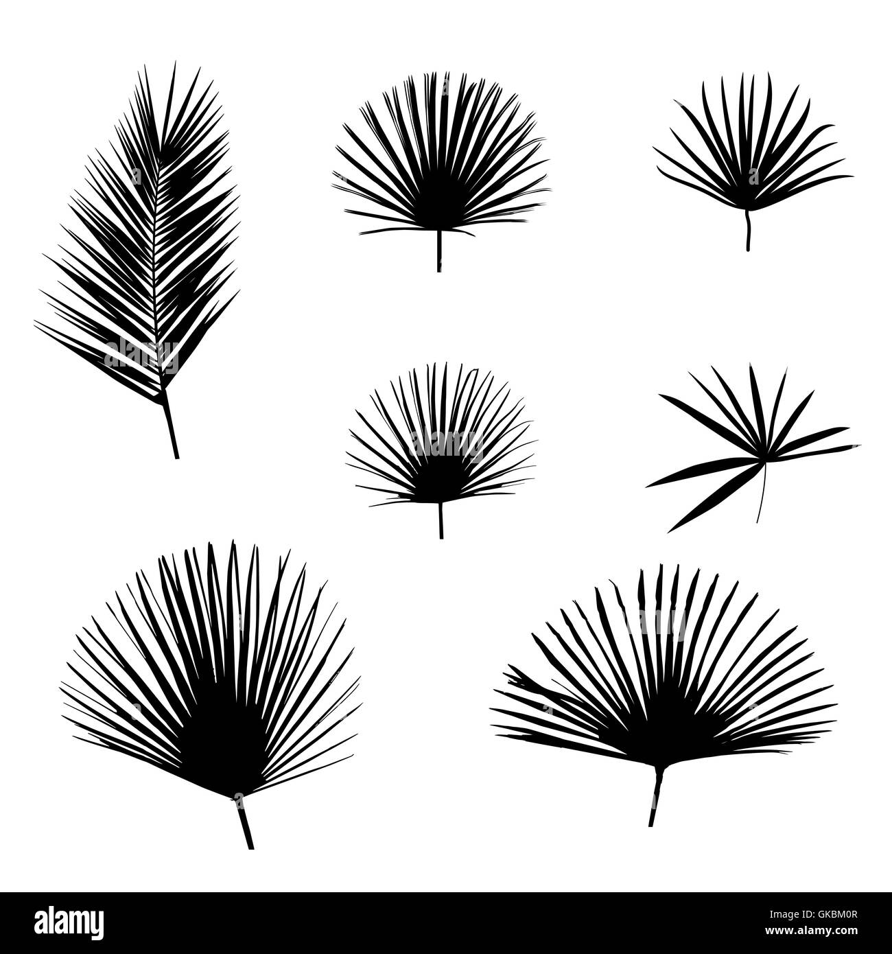 Feuille de palmier noir sur fond blanc. Vector Illustration. Illustration de Vecteur Feuille de palmier noir sur fond blanc. Vector Illustration. Illustration de Vecteur