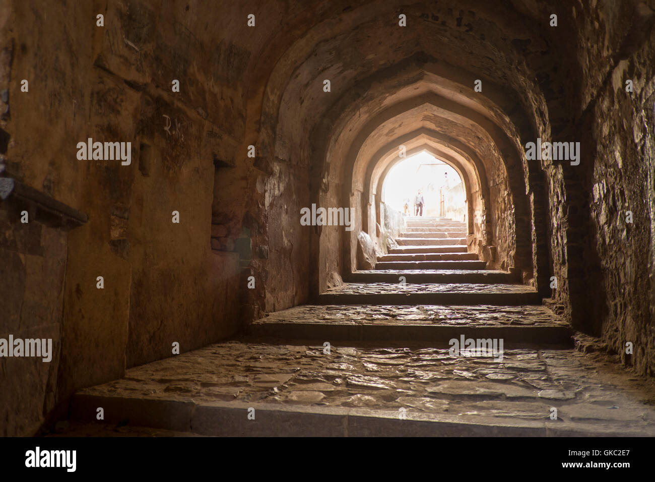 Ranthambhore fort dans le Parc National de Ranthambhore, Rajasthan, Inde Banque D'Images