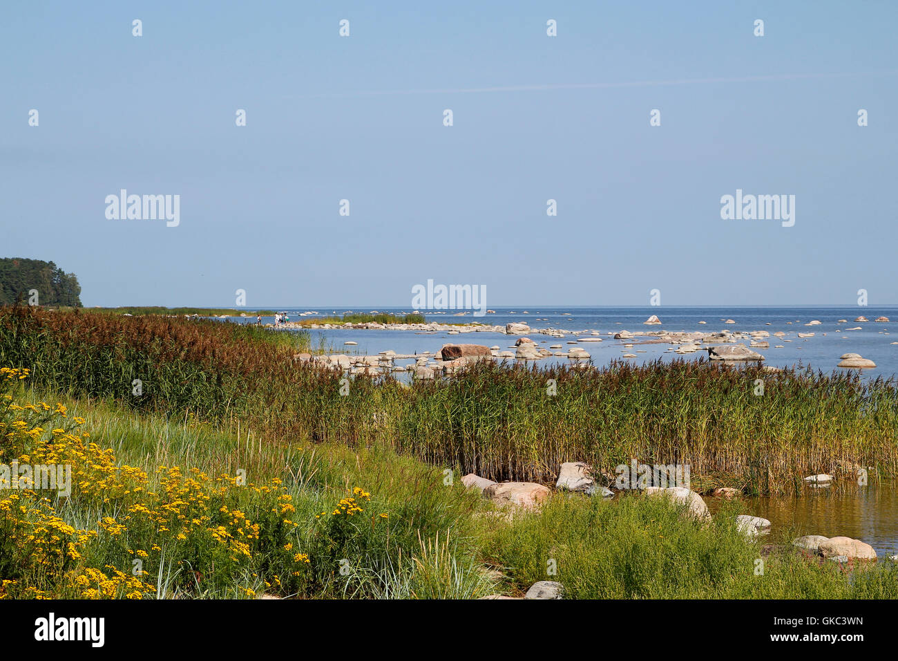 L'autre avec des pierres d'un ancien glacier, dans le nord de l'Estonie, Kasmu Banque D'Images